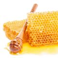 Bio Honig & Honigprodukte