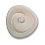 Duftstein-Spirale-farfalla