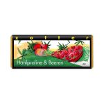 Zotter Schokolade Hanfpraline & Beeren 10 Stück zu 70 g