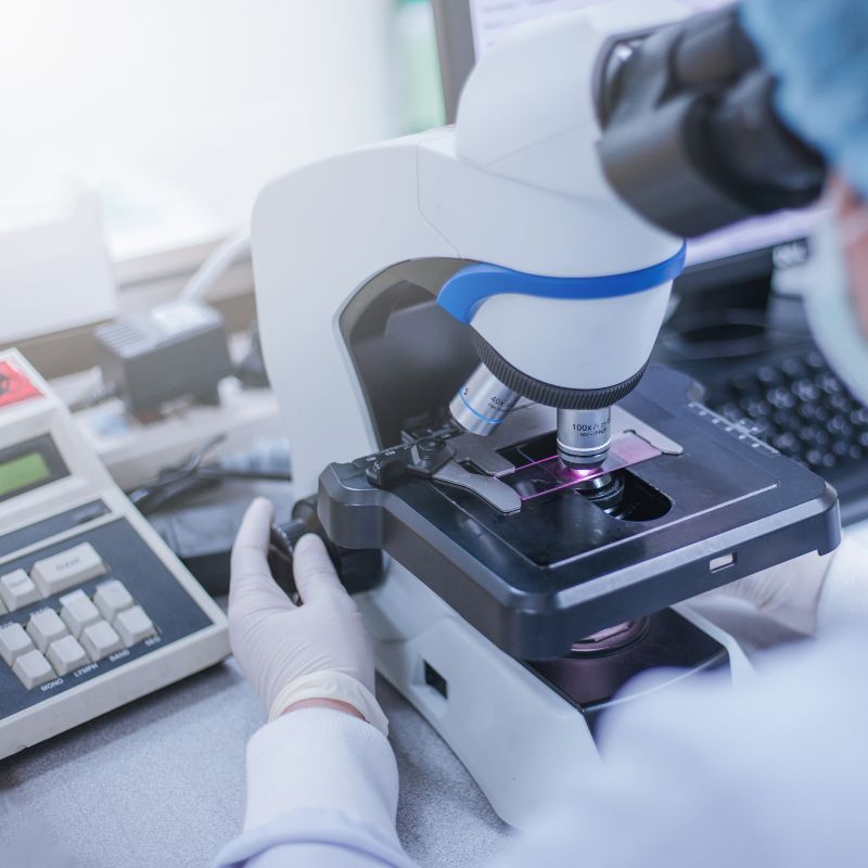 Dunkelfeldmikroskopie bei uns vor Ort