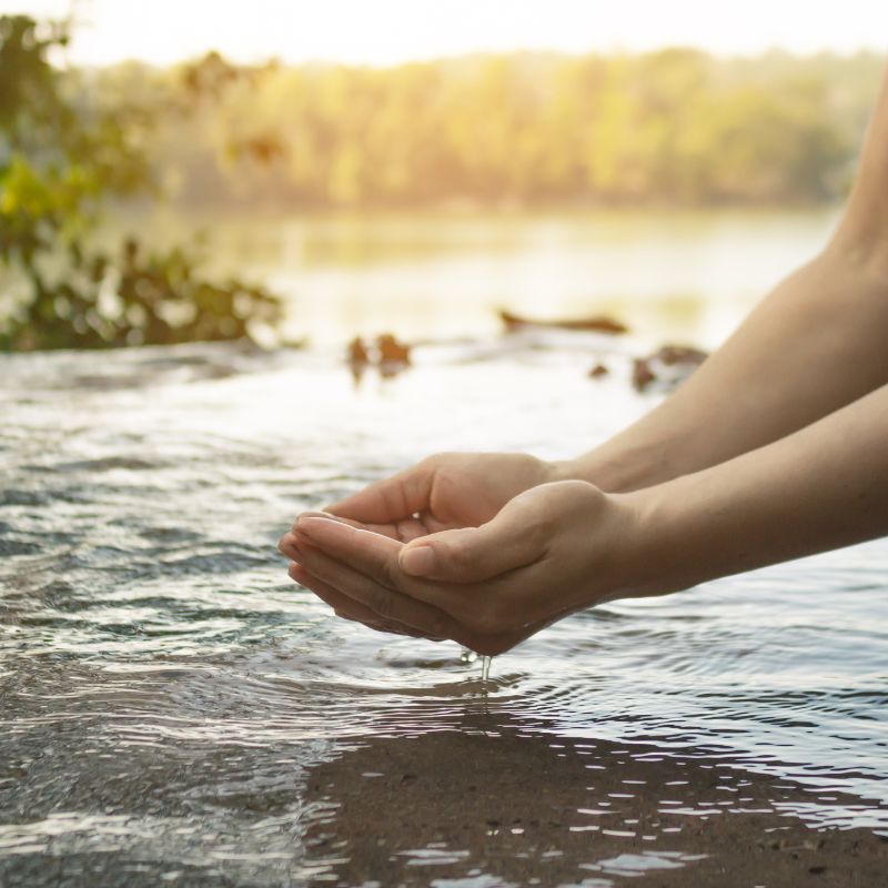 Bio für das Wasser Bio für das Wasser