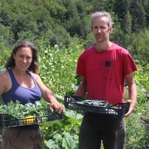 Gemüsekistchen aus Permakultur