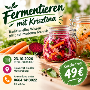 Fermentieren lernen: Traditionelles Wissen trifft moderne Technik