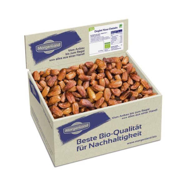 Deglet Nour Datteln Morgenland