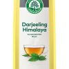 Darjeeling Himalaya Schwarztee Lebensbaum