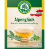 Alpenglück Lebensbaum