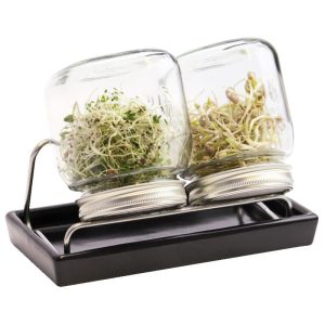Keimsystem II. Anthrazit 750 ml Glas mit Keramik-Schale Eschenfelder
