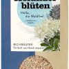 Holunderblüten Sonnentor
